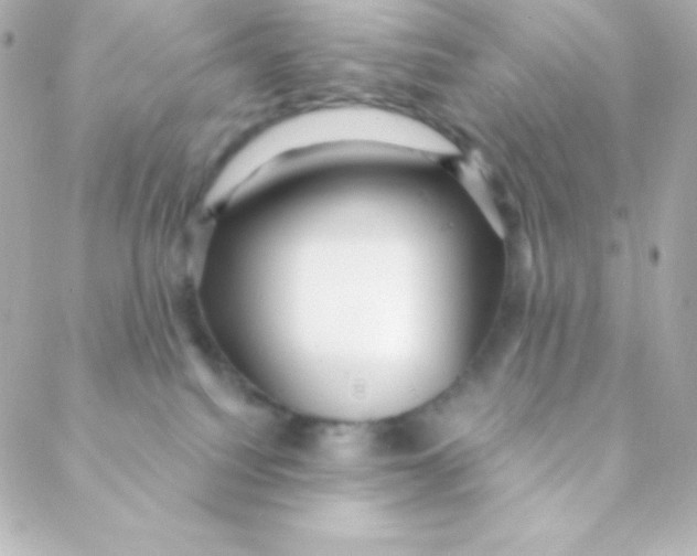 X0000088630088200706151928