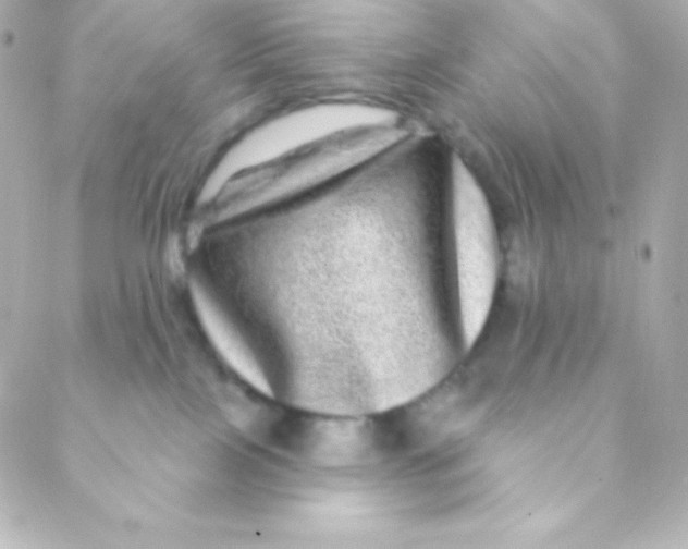 X0000088630089200706151928