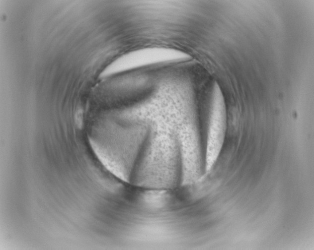 X0000088630090200706151928