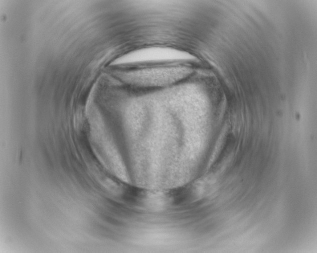 X0000088630093200706151928
