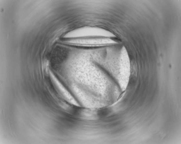 X0000088630094200706151928