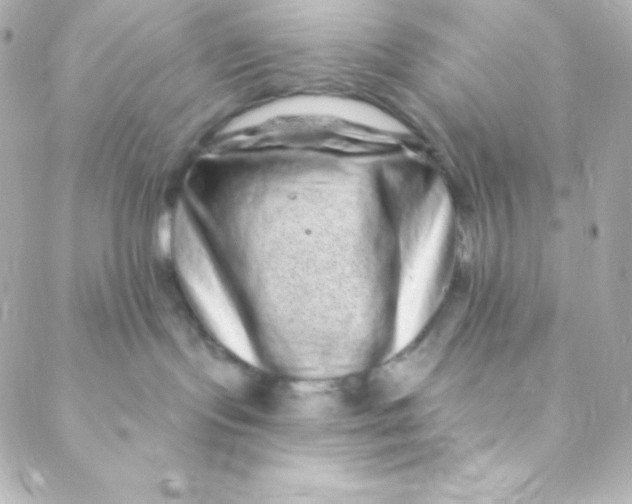 X0000088630095200706151928