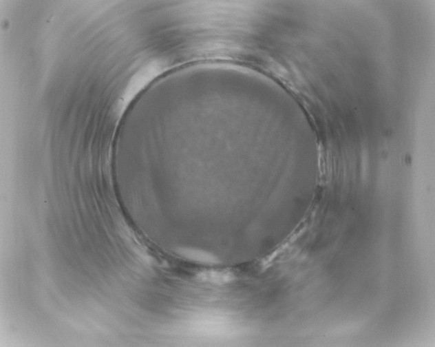 X0000088630099200706151927