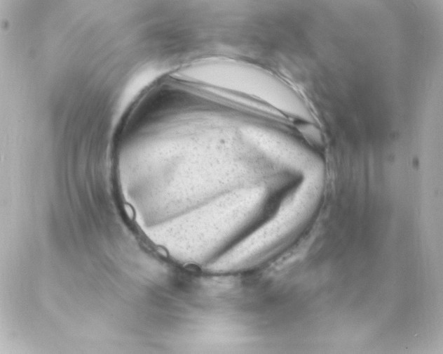 X0000088630102200706151927