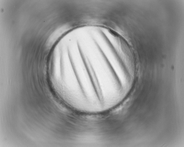 X0000088630103200706151927