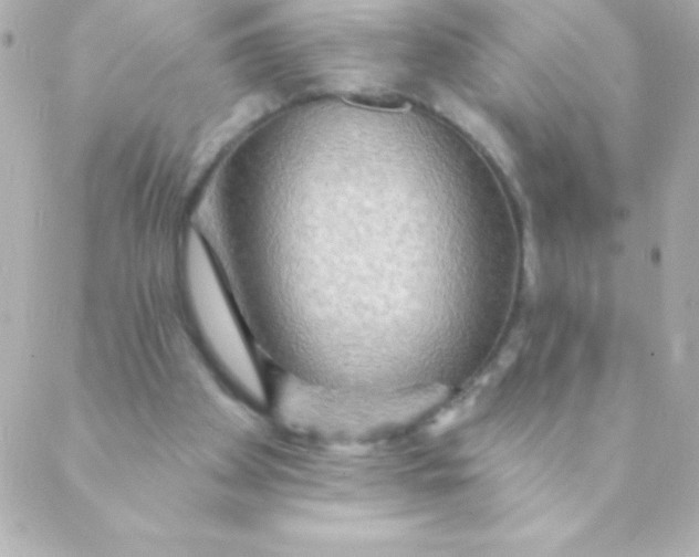 X0000088630105200706151927