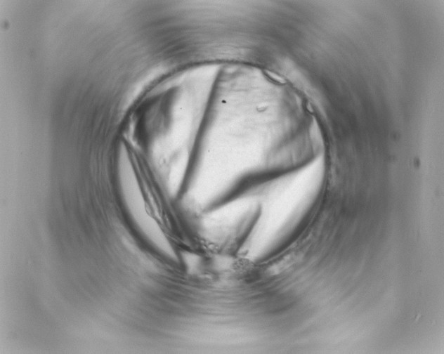 X0000088630107200706151927