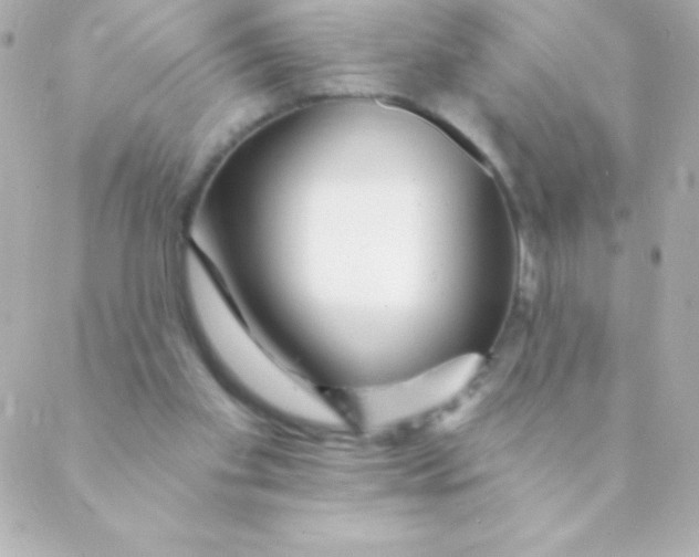 X0000088630109200706151927