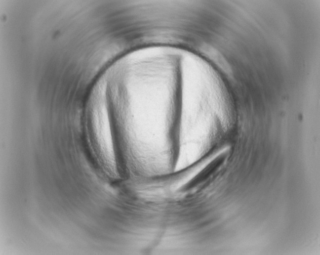 X0000088630111200706151927