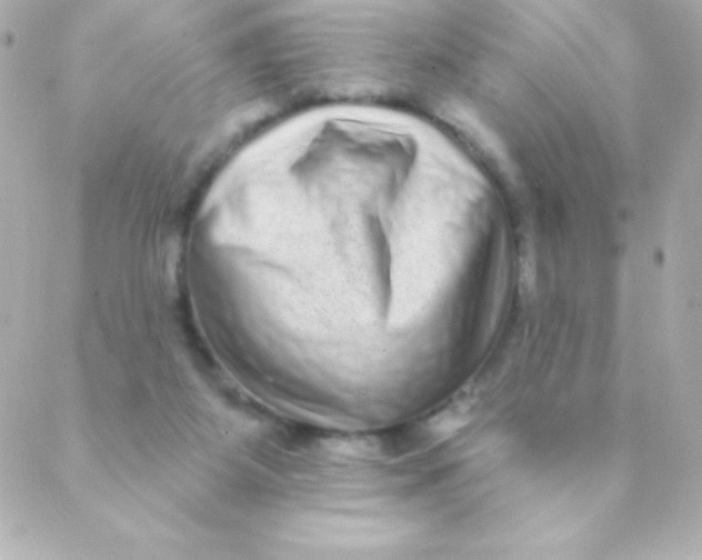 X0000088630115200706151927