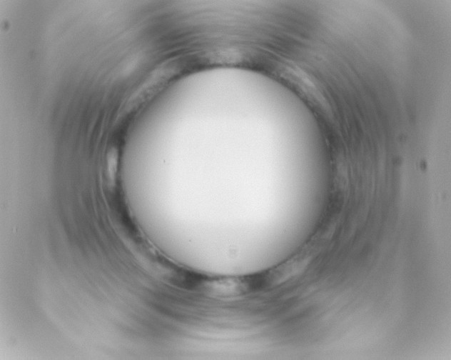 X0000088630118200706151927