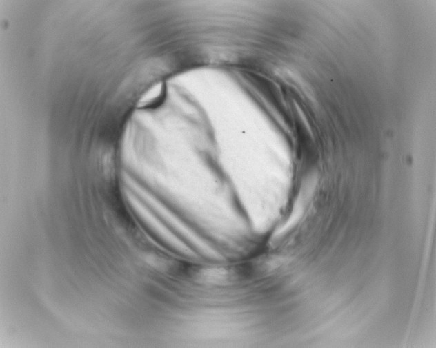 X0000088630123200706151927