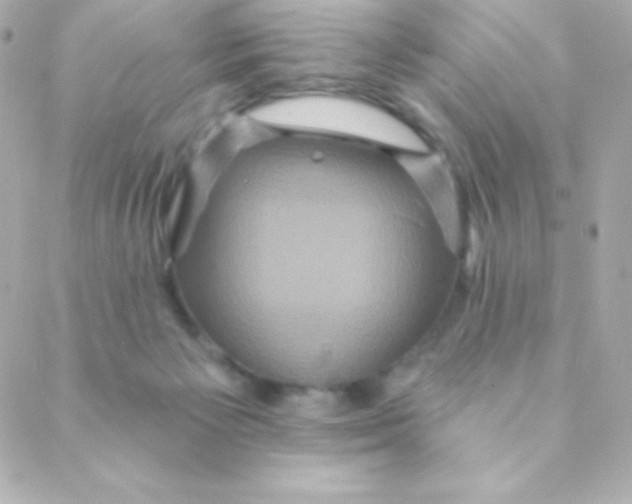 X0000088630125200706151927