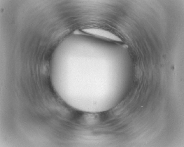 X0000088630126200706151927