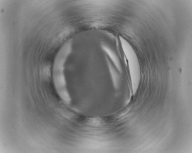 X0000088630127200706151927