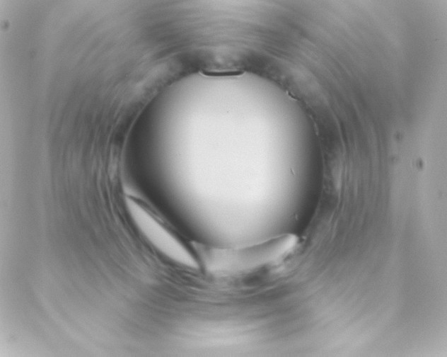 X0000088630129200706151927