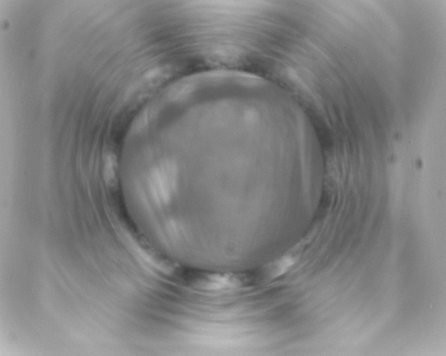 X0000088630130200706151927