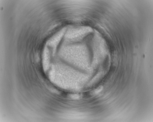 X0000088630131200706151927