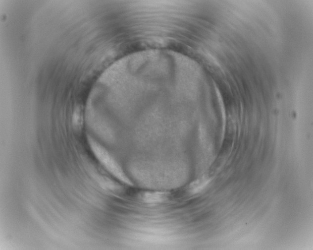 X0000088630134200706151927
