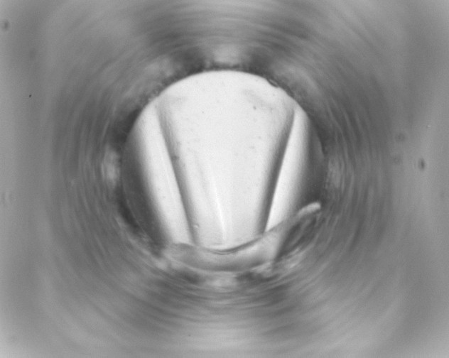 X0000088630135200706151927