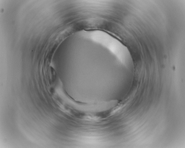 X0000088630137200706151927