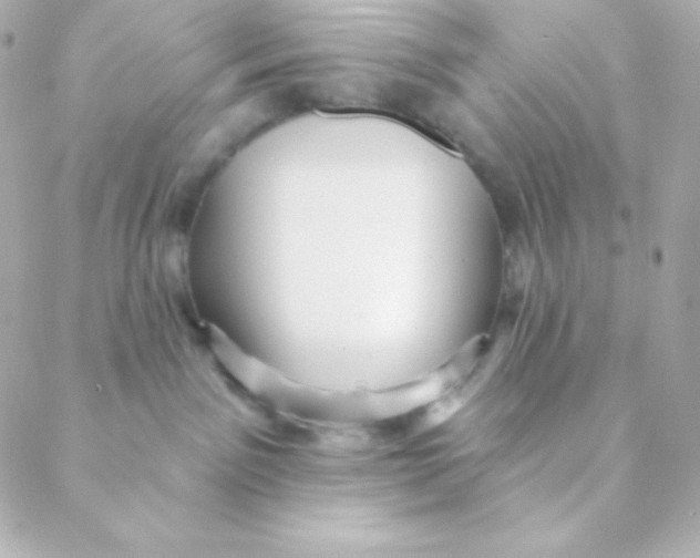 X0000088630141200706151926