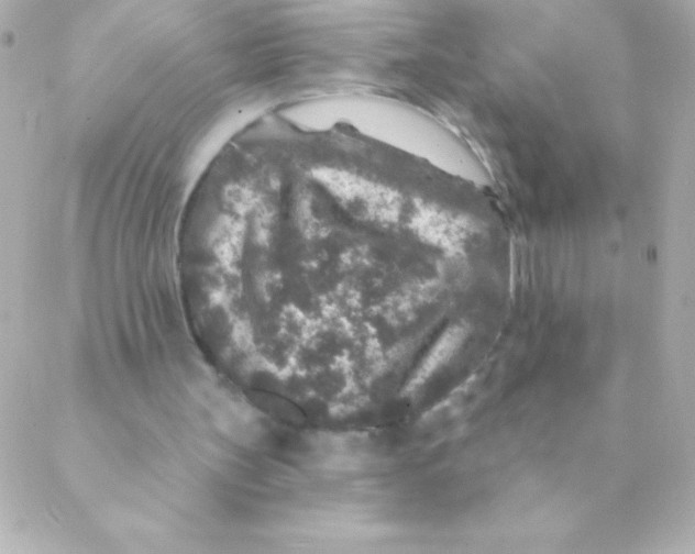 X0000088630147200706151926