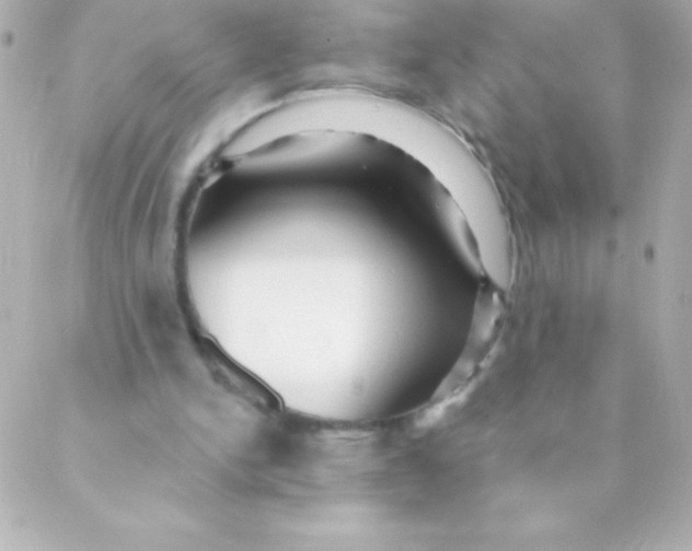 X0000088630150200706151926