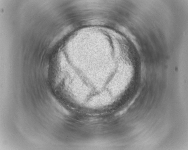 X0000088630153200706151926