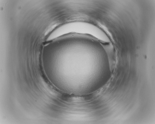 X0000088630154200706151926