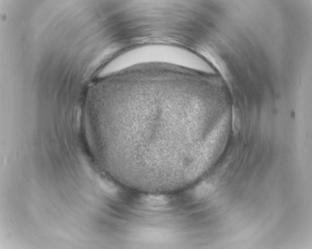 X0000088630157200706151926
