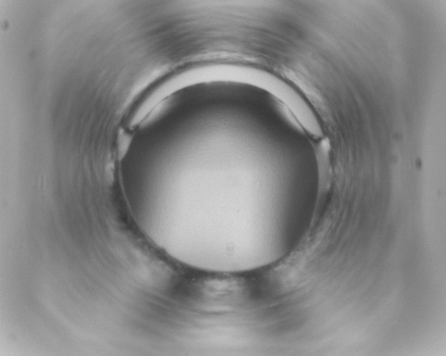 X0000088630160200706151926