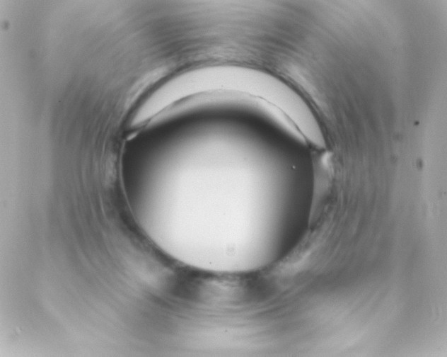 X0000088630164200706151926