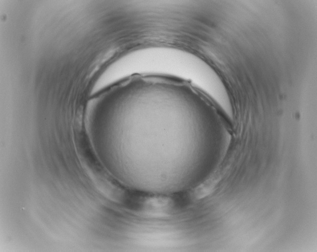 X0000088630168200706151926