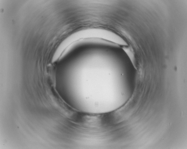 X0000088630170200706151926