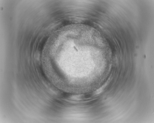 X0000088630178200706151926