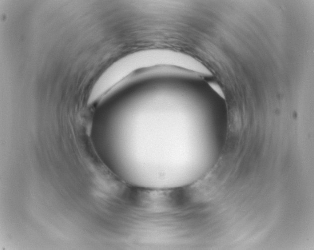 X0000088630184200706151926