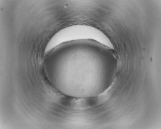 X0000088630186200706151926