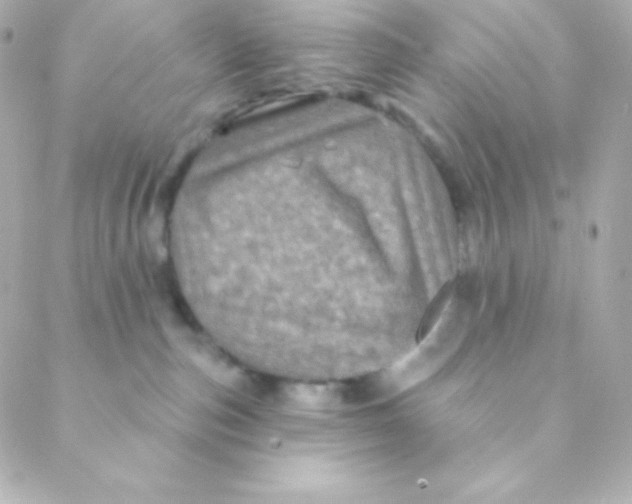 X0000088630187200706151926