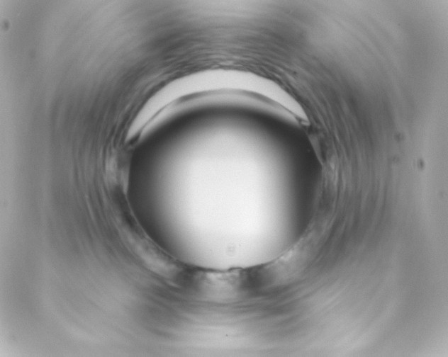 X0000088630188200706151926