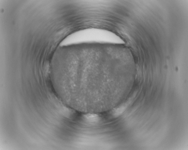 X0000088630189200706151926
