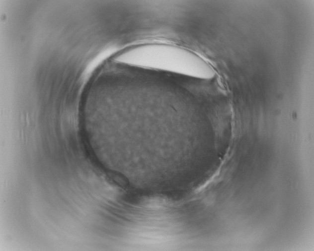 X0000088630200200706151926