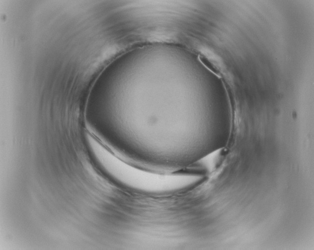 X0000088630201200706151926