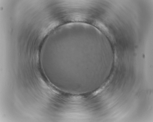 X0000088630202200706151925