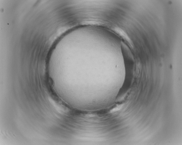X0000088630204200706151925