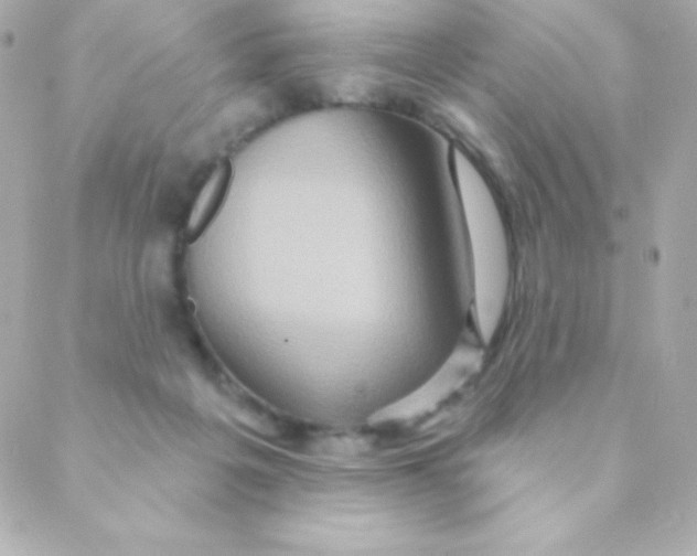 X0000088630217200706151925