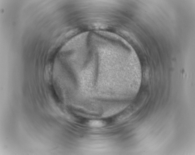 X0000088630218200706151925