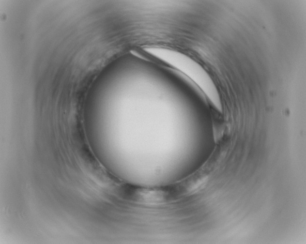 X0000088630221200706151925