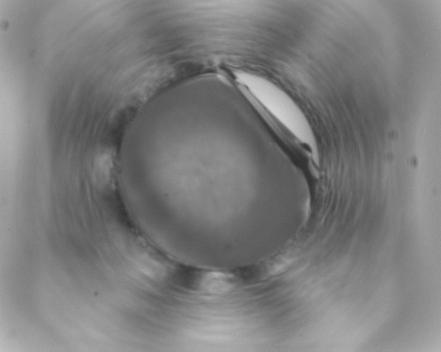 X0000088630222200706151925