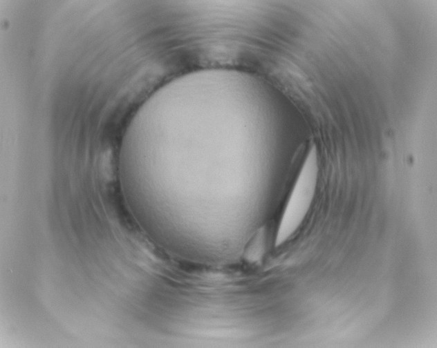 X0000088630224200706151925
